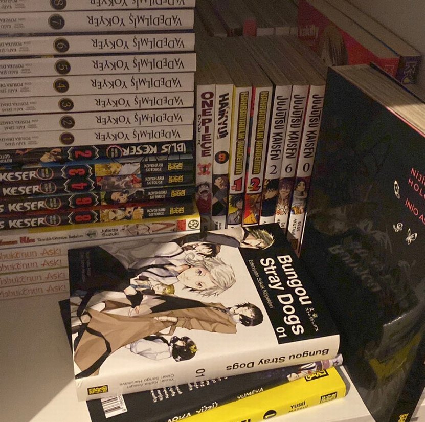 İNGİLİZCE/TÜRKÇE MANGA - Görsel 2