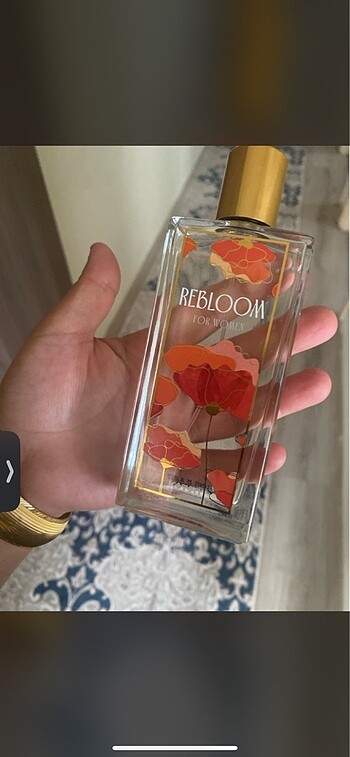 Koton Bayan parfüm