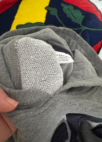 USPA Gri Kapüşonlu Erkek Sweatshirt - Görsel 4