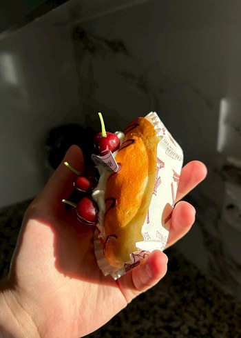 Buzdolabı magneti - Görsel 2