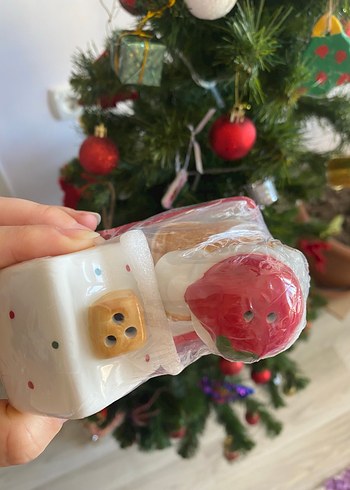 Tatlı Ev ve Adam tuzluk Seti - Görsel 2