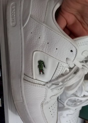 Lacoste Beyaz Lacoste Kadın Sneaker Velcro Bağcıklı