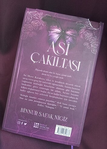 binnur şafak nigiz asi çakıltaşı 1
