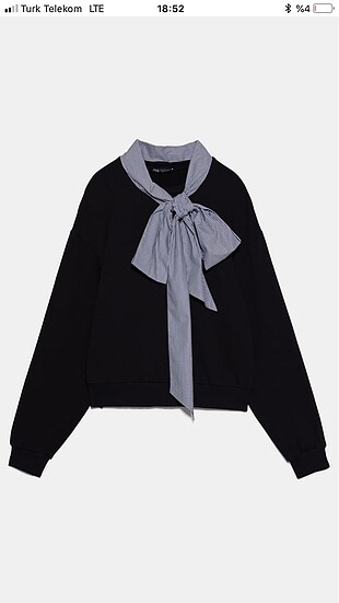 Zara sweatshirt