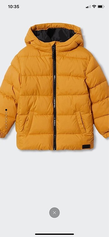 Mango mont