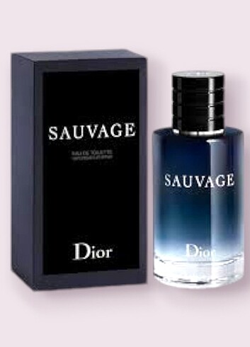 100 ml erkek parfum