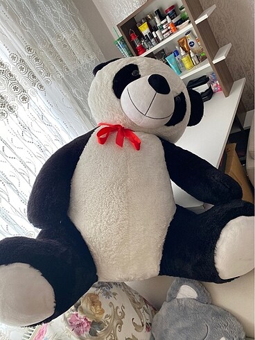  Beden Panda