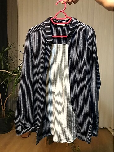 Mudo Collection