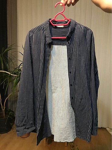 Mudo Mudo Collection