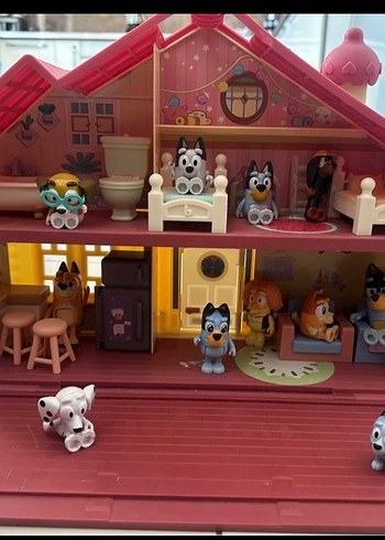 Bluey evi