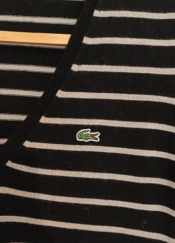 Lacoste Lacoste V Yaka Kadın Çizgili Triko