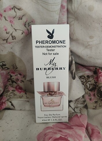 My burberry blush bayan parfüm 