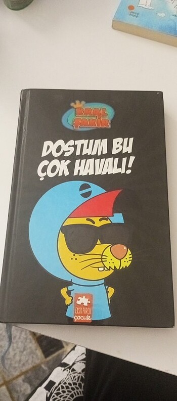 Kral şakir dostum bu çok havalı