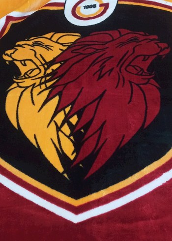 Taç Gs tek kişilik battaniye - Görsel 3