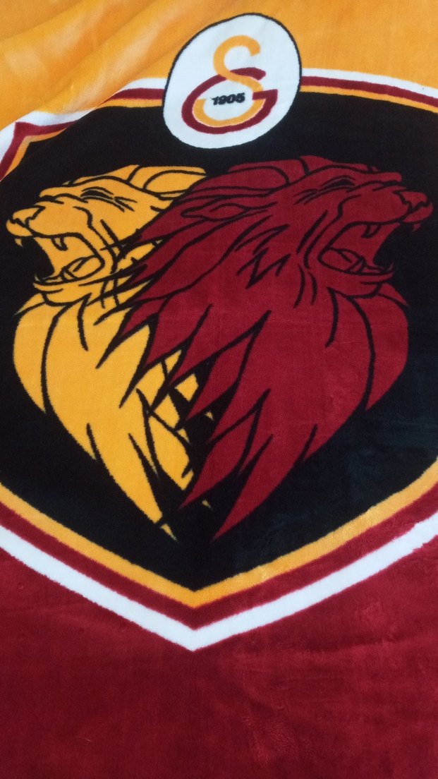 Taç Gs tek kişilik battaniye - Görsel 3