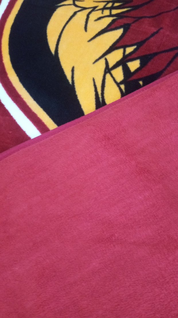 Taç Gs tek kişilik battaniye - Görsel 2