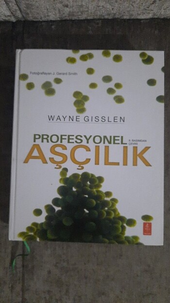 Gastronomi 