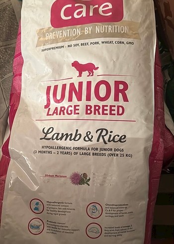 Care Junior Large Breed Kuzu ve Pirinçli Köpek Maması