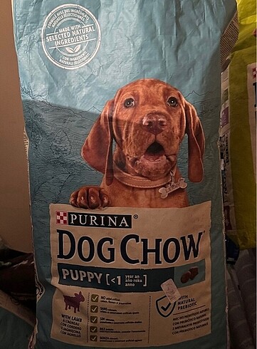 4 kg köpek maması