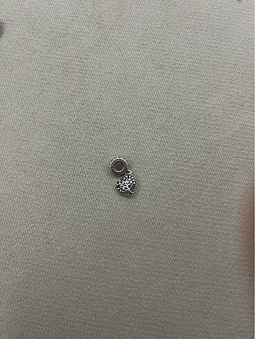 Pandora charm
