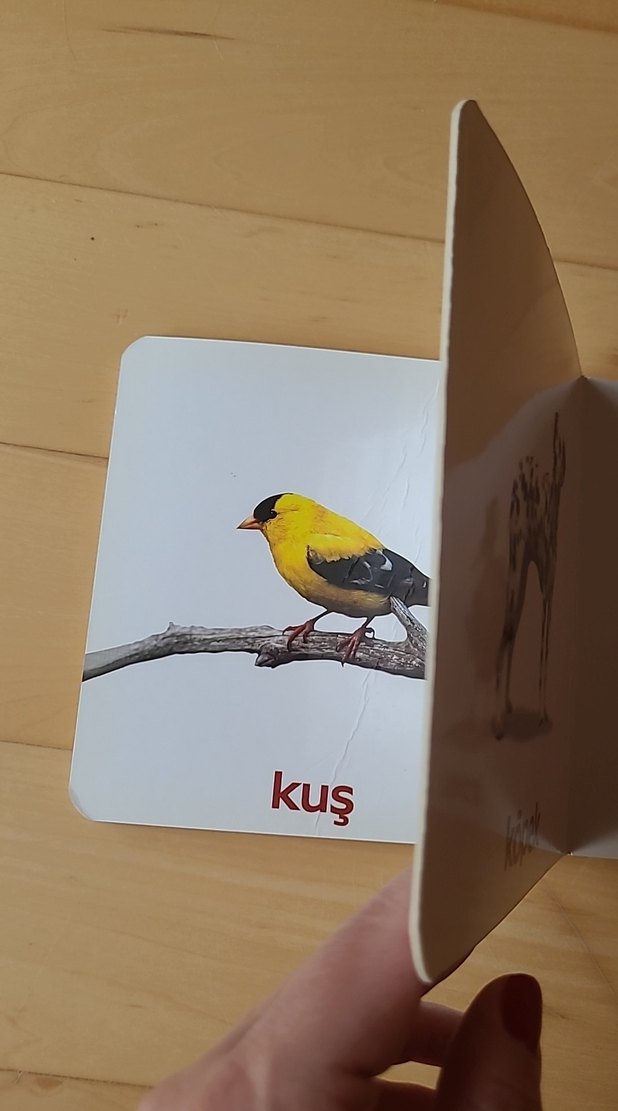 Hayvanlar - İlk Kelimelerim Eğitici Kitap Serisi 2 - Görsel 3