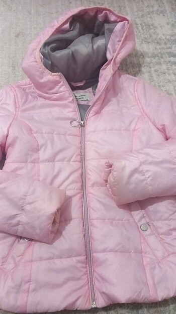 Pembe mot