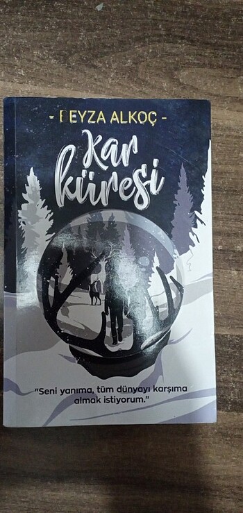 Kar Küresi - Beyza Alkoç