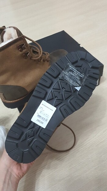 Erkek bot  - Görsel 3