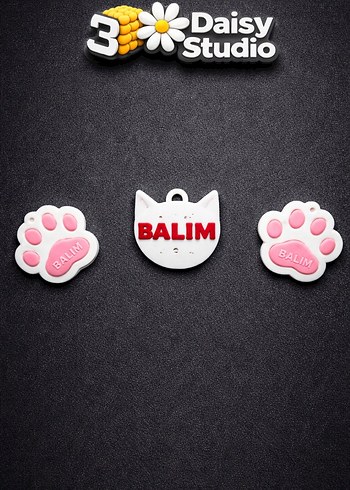 Kedinizin ismine özel tasmalar. - Görsel 2