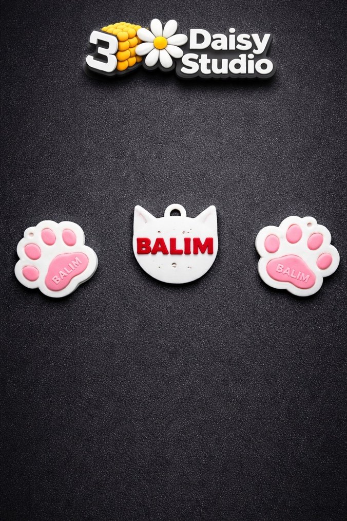 Kedinizin ismine özel tasmalar. - Görsel 2