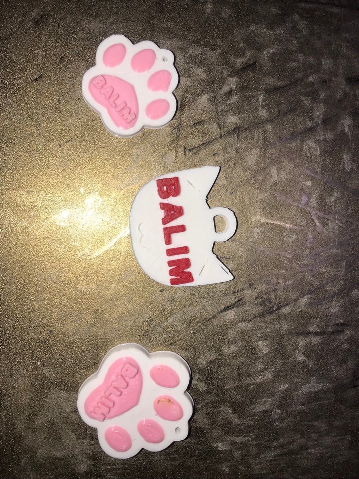 Kedinizin ismine özel tasmalar. - Görsel 3