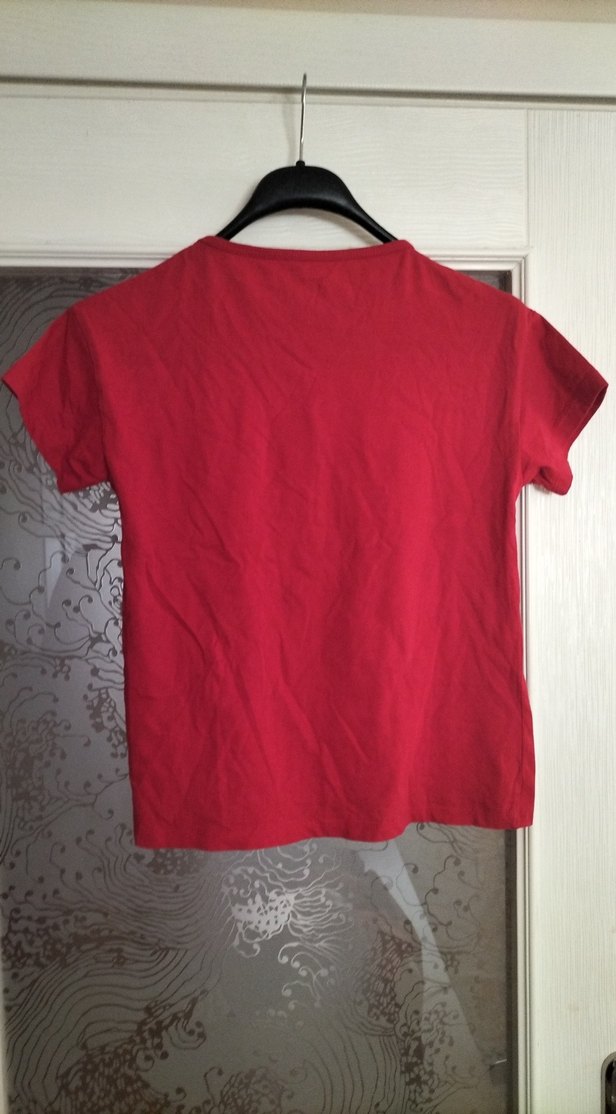 Kısa Kollu Türk Bayrağı Tişörtü - Görsel 2