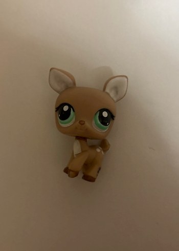 lps ceylan miniş