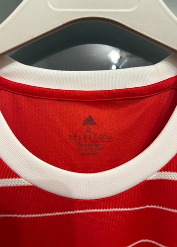 Bayern muchen forma - Görsel 4