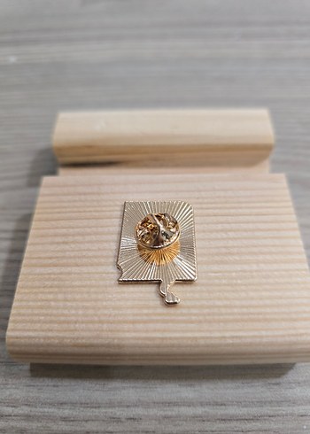 Harry Potter Büyülü Kitap Rozeti - Görsel 2