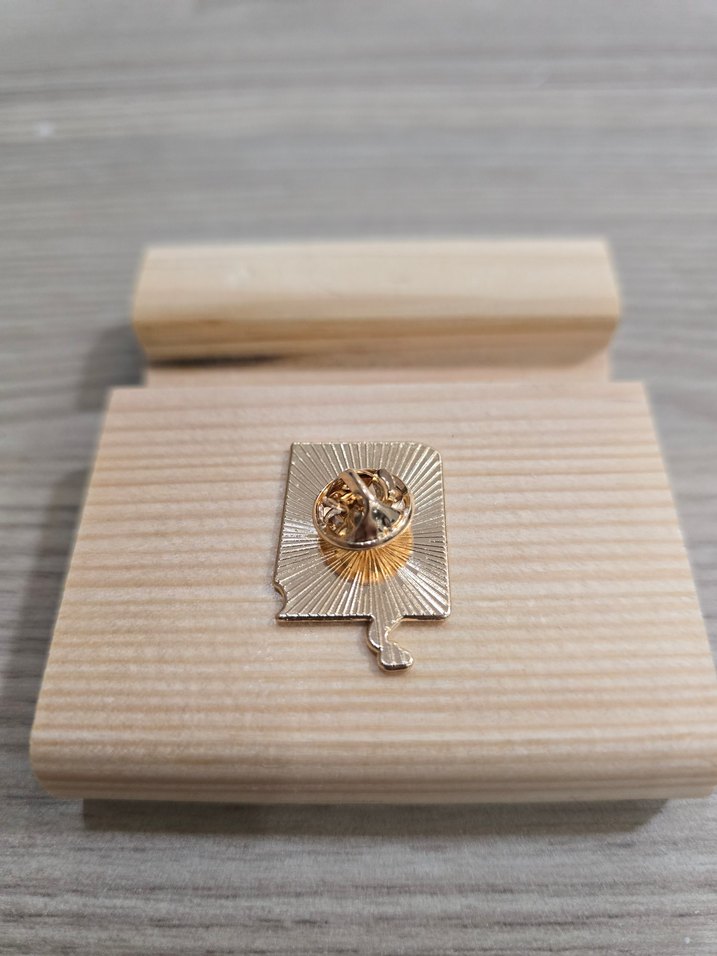 Harry Potter Büyülü Kitap Rozeti - Görsel 2