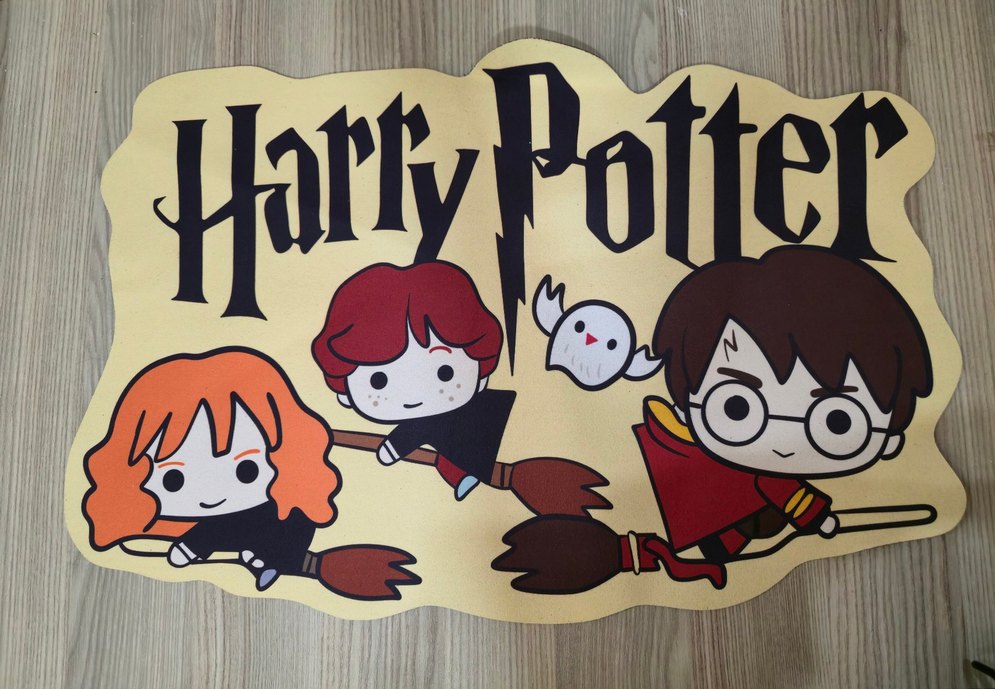 Harry Potter Banyo veya Kapı Önü Paspası - Görsel 3