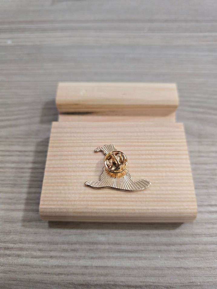 Harry Potter Seçmen Şapka Rozet Pin - Görsel 2