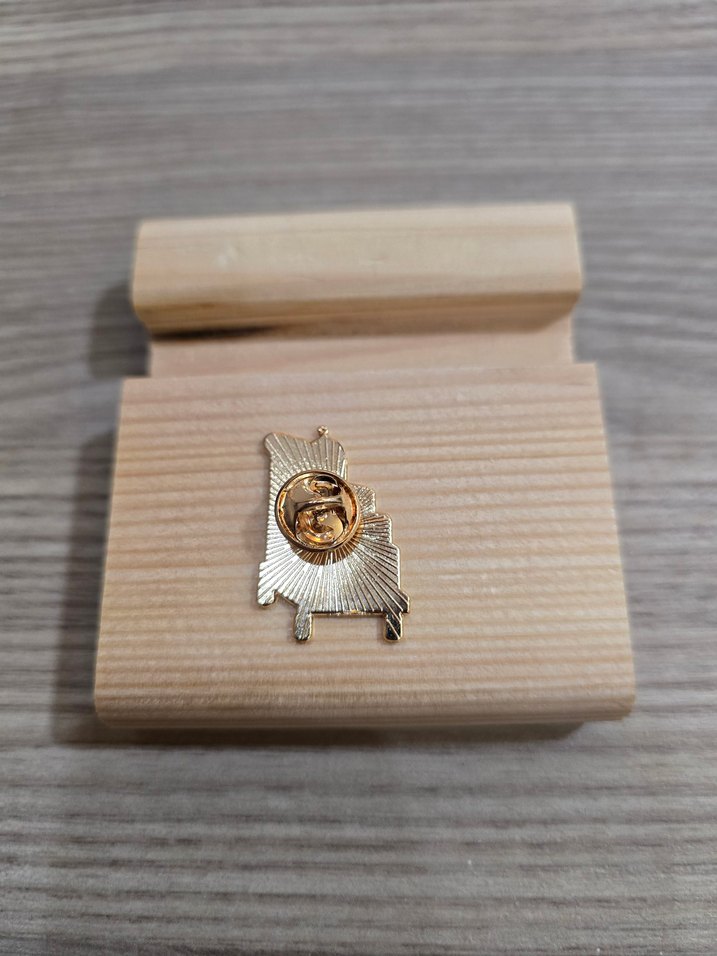 Harry Potter Hogwarts Express Valiz Arabası Rozet Pin - Görsel 2