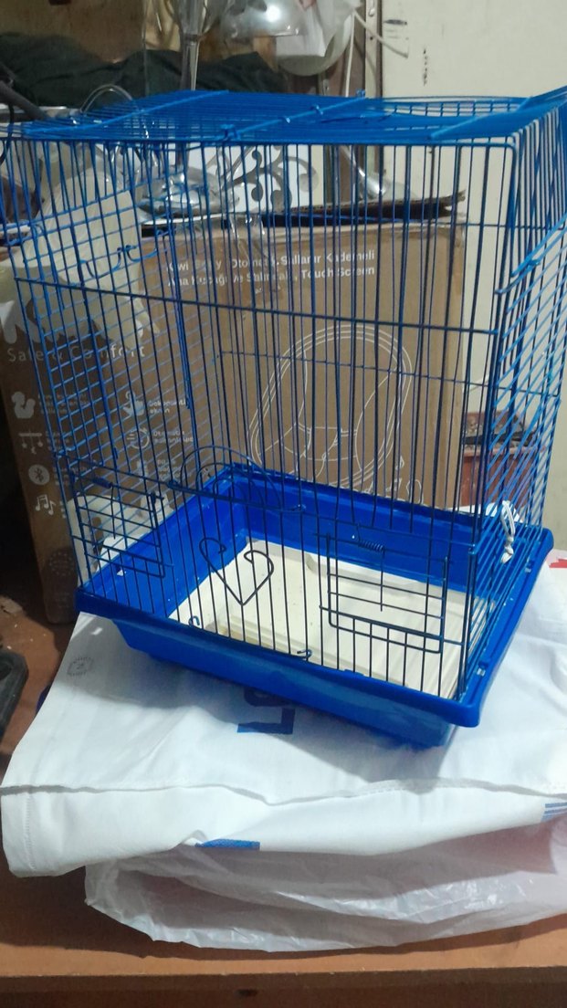 Parlak Mavi Kuş Kafesi - Görsel 2