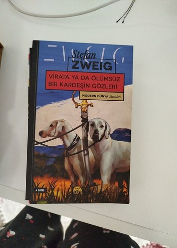 Beden Renk Stefan Zweig Modern Dünya Klasikleri Çizgi Roman Seti