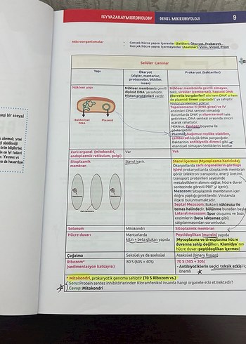 Feyyaz Akay Mikrobiyoloji Konu Kitabı - 13. Baskı - Görsel 3