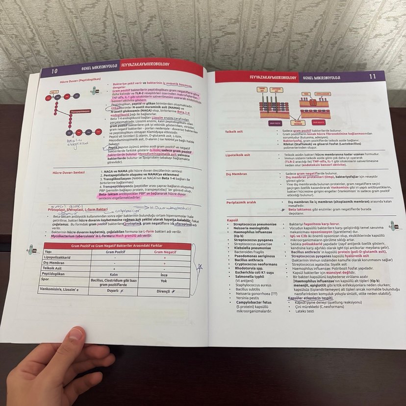 Feyyaz Akay Mikrobiyoloji Konu Kitabı - 13. Baskı - Görsel 4