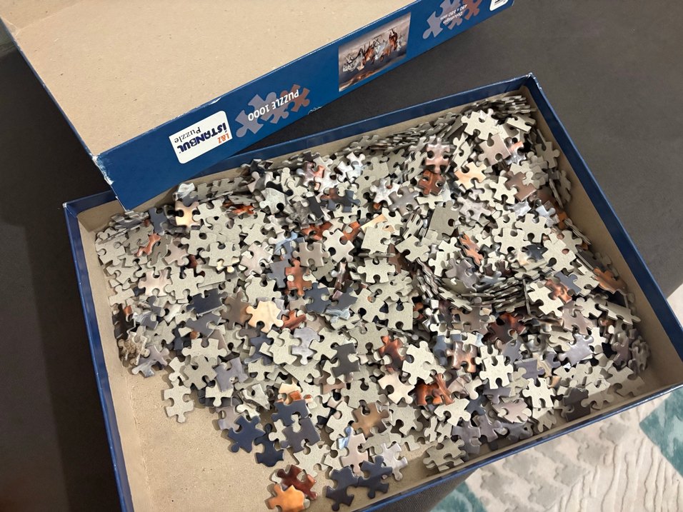 Doludiz İstanbul 1000 Parça At Temalı Puzzle - Görsel 3