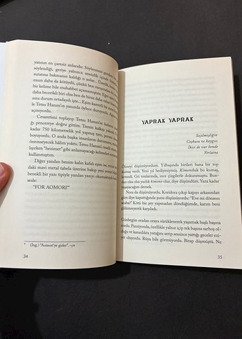 Maymun Adası ve İnsanlığımı Yitirirken - Osamu Dazai - Görsel 4