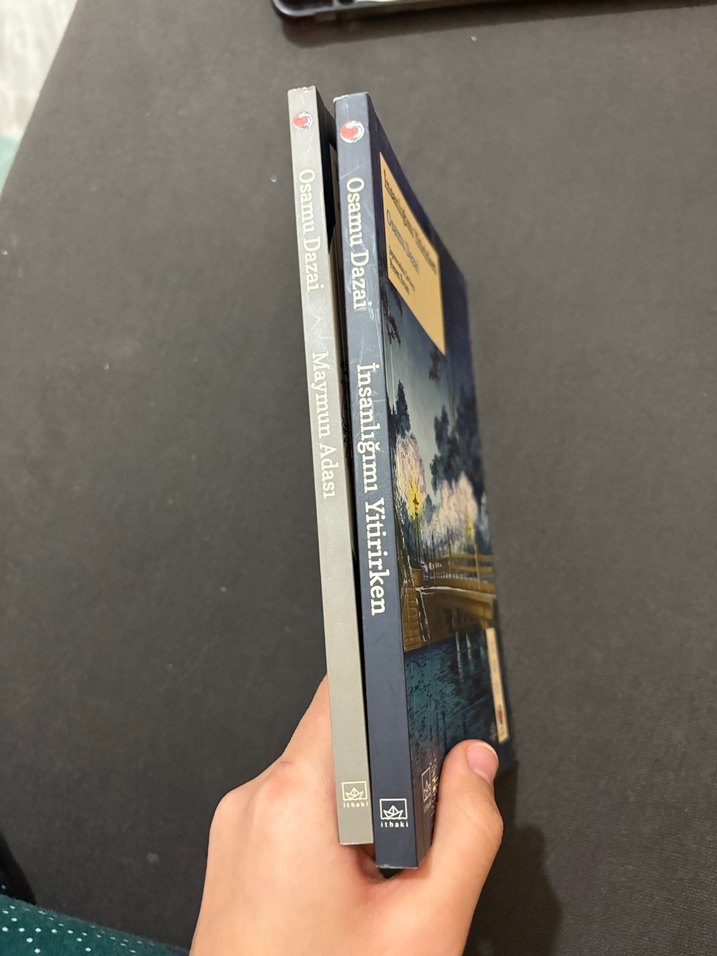 Maymun Adası ve İnsanlığımı Yitirirken - Osamu Dazai - Görsel 2