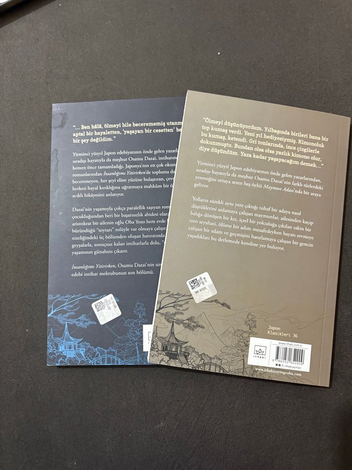 Maymun Adası ve İnsanlığımı Yitirirken - Osamu Dazai - Görsel 3