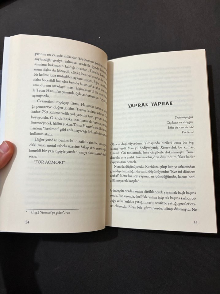 Maymun Adası ve İnsanlığımı Yitirirken - Osamu Dazai - Görsel 4