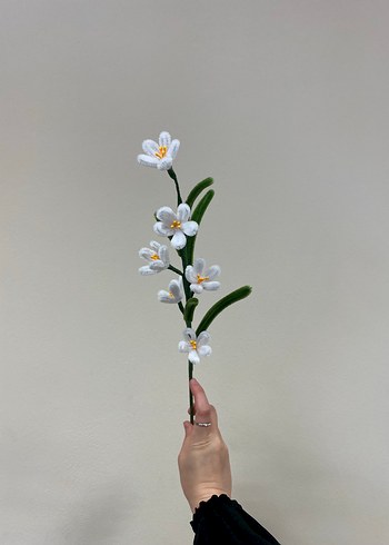 Ikea Yasemin Çiçeği