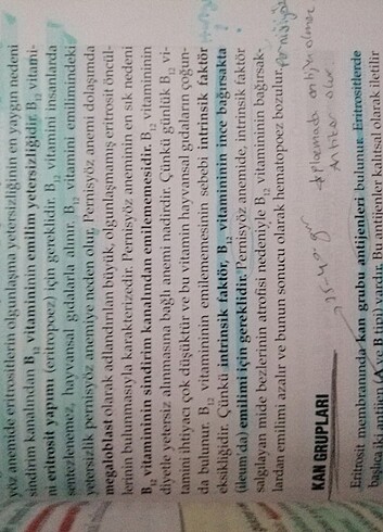 Beden Halis Köylü Temel Fizyoloji